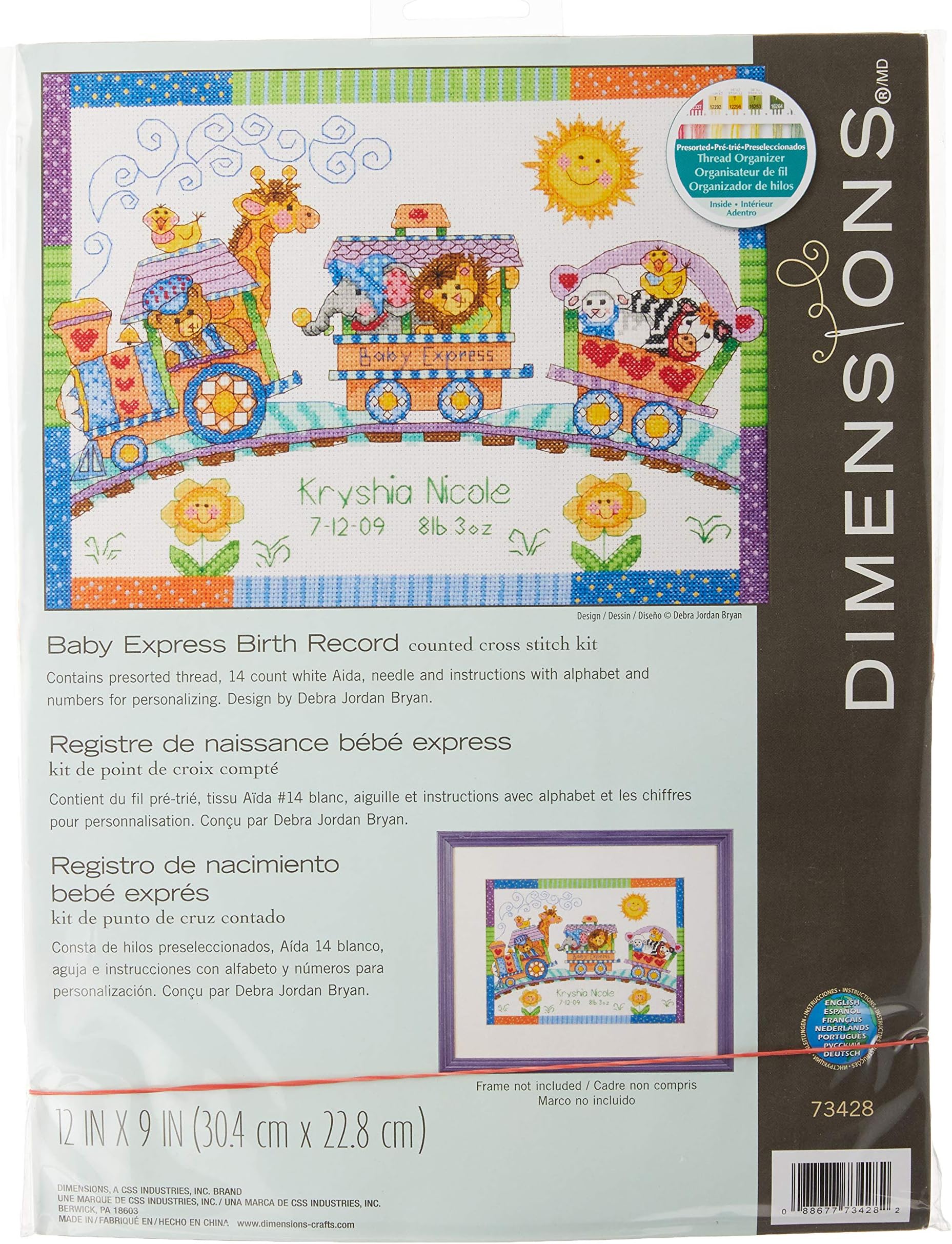 Counted Cross Stitch Kit Baby Express Birth Record Personalized Gift, 14 Count White Aida, 12" X 9"