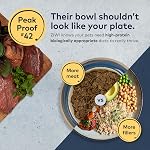 ZIWI Peak Air-Dried Aliments pour chiens – Agneau - Tous les ingrédients naturels, riches en protéines, sans grains, avec superaliments (454 g)