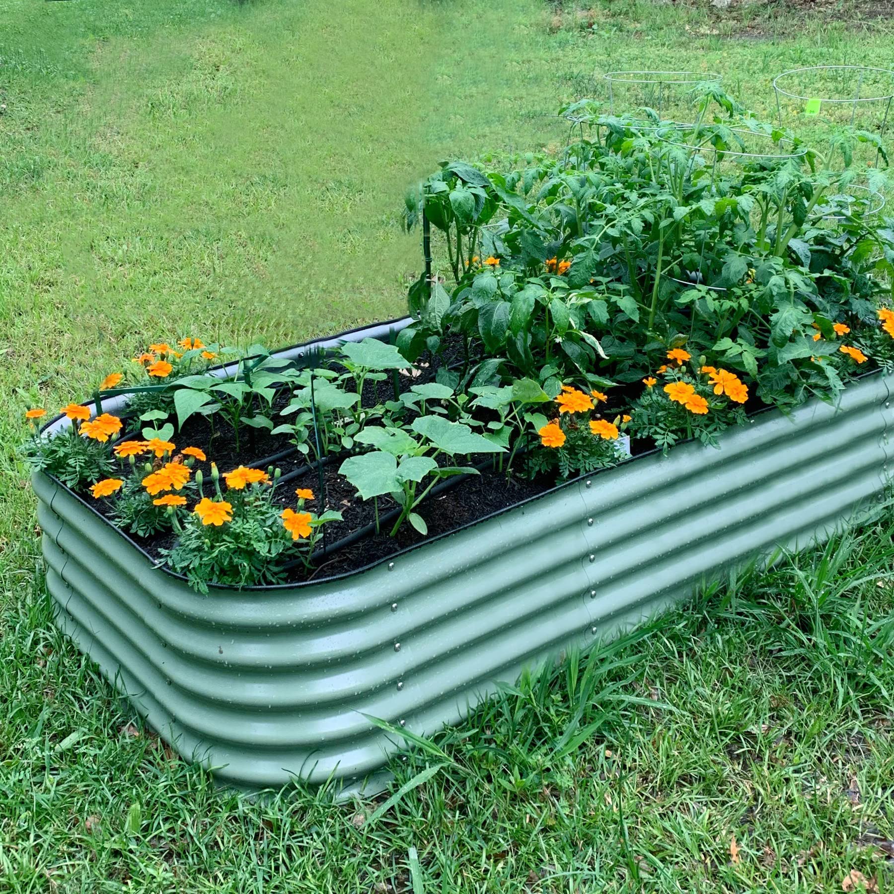 Buy Vego Garden Raised Garden Bed Kit, 17’’ Tall 10 in 1 Modular Metal Raised Garden Beds Kit