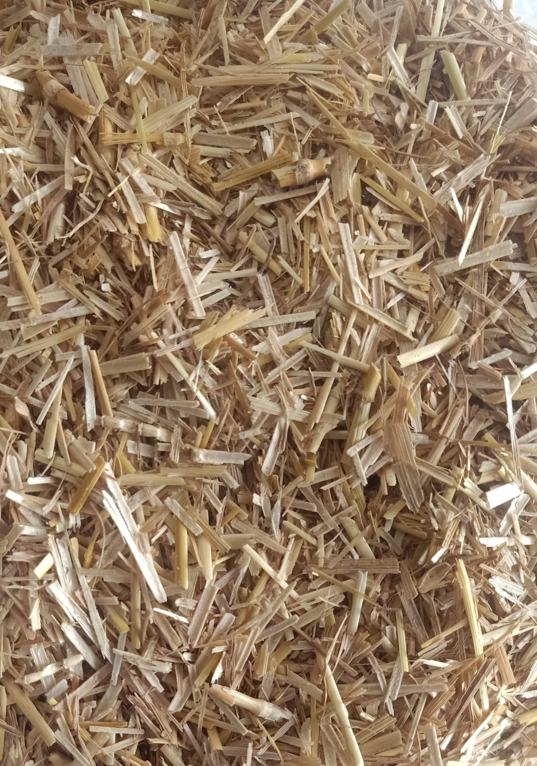 VISION CRAFTED Wheat Straw in Cut Form for Mushroom Farming and Gardening/Wheat Straw, Wheat Straw Mulch/Wheat Straw for Mushroom - shrubs and General beds Mulch (1 KG) (B08G1G9YMT) Amazon Price History, Amazon Price Tracker