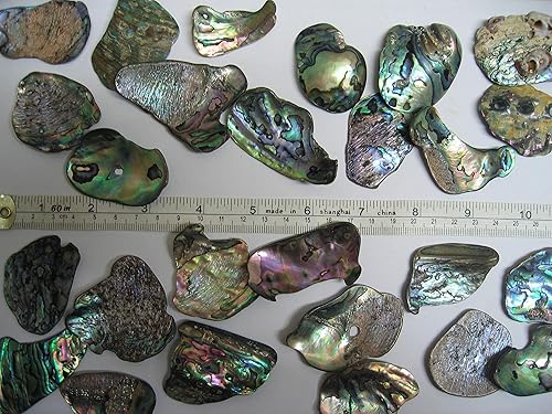 Miniatura 10 de Piezas de concha de abulón (Pua), paquete de 2.65 onzas para manualidades, fabricación de joyas, arte de resina, incrustaciones, decoraciones para
