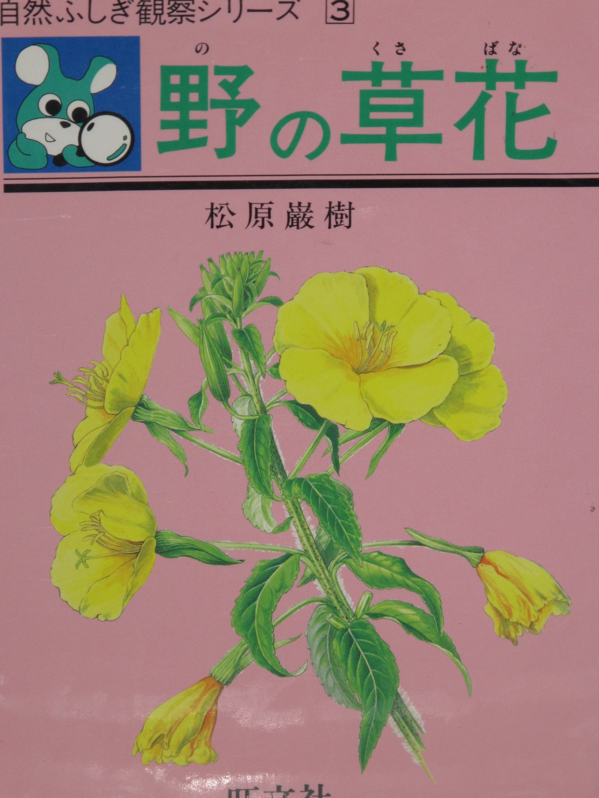 Amazon.co.jp: 松原 巌樹: 本、バイオグラフィー、最新アップデート