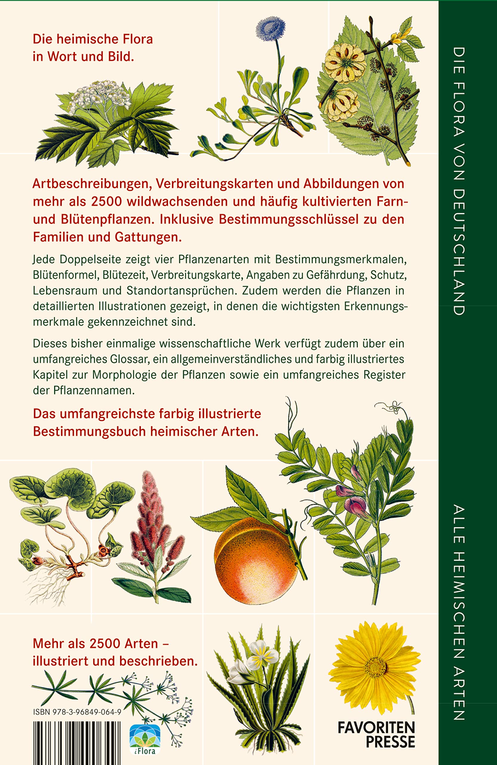 Die Flora von Deutschland. Alle heimischen Arten: Über 2.500 Pflanzen. Mit Bestimmungsschlüssel.