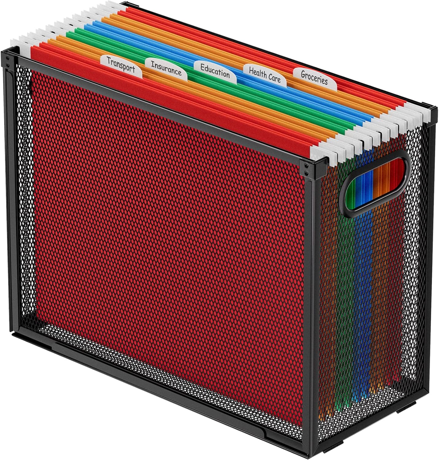 MaxGear Hanging File Organizer, Letter Size File Holder