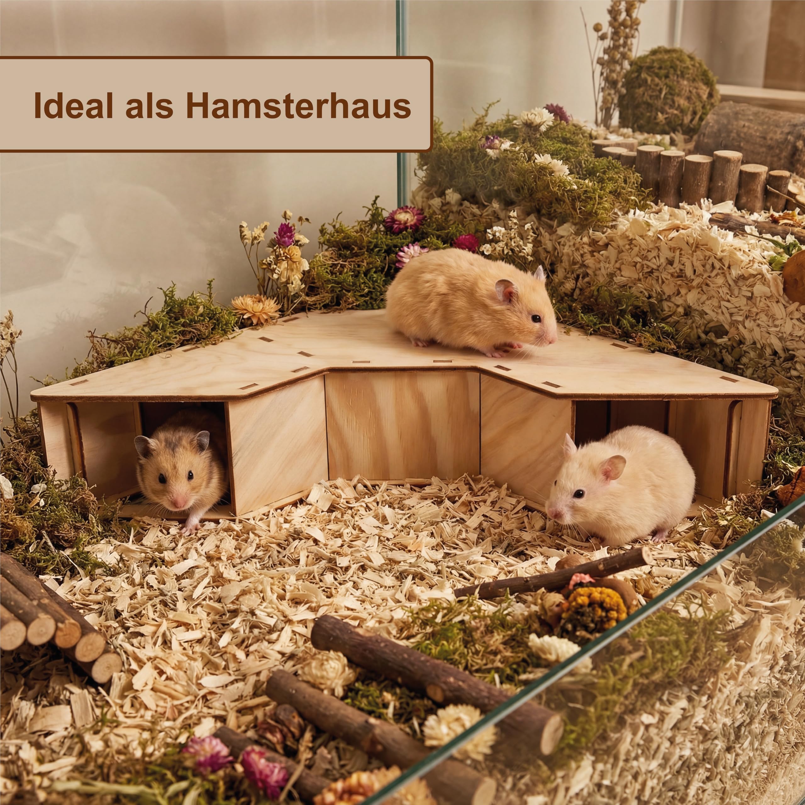 Hamstertunnel & Hamsterhaus aus Holz – DIY Watchbox zum Beobachten – Buddeltunnel & Versteckhaus für Zwerghamster & Rennmäuse – stabil, splitterfrei & einfach zu montieren