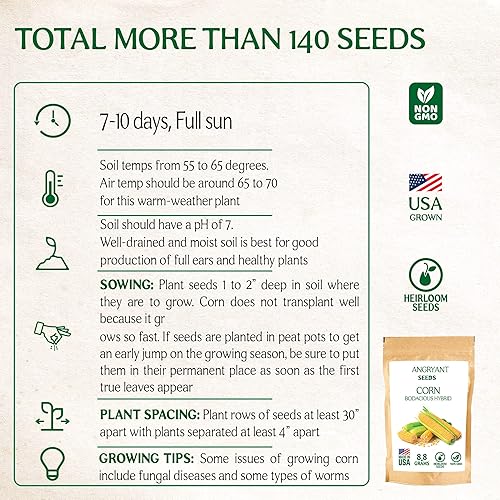 Miniatura 3 de Paquete culinario esencial de semillas de espino y pepino, sin OMG, cultivadas en Estados Unidos, más de 370 semillas tradicionales para plantación