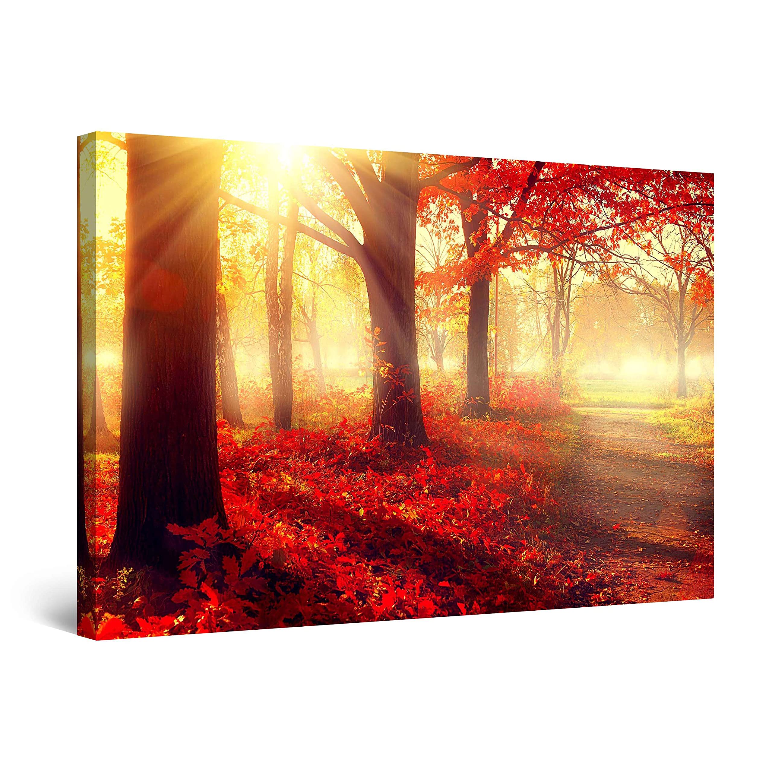 Startonight Wall Art Canvas Daydream Red Morning the Forest, Nature Trees Landscape Light Stretched Print, Modern for Bedroom or Living Room, Decor Unique Luminous Artwork 60 cm x 90 cm