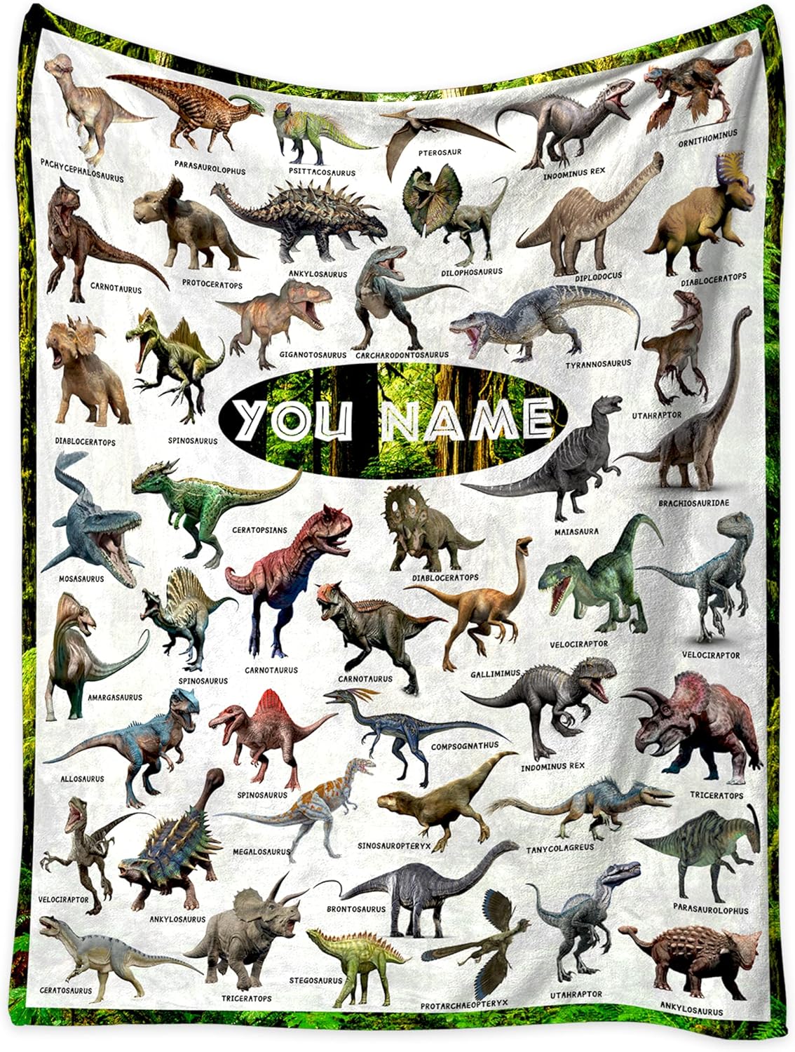 Personalized Dinosaur Blanket for Boys, Jurassic Dinosaurs