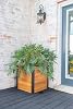 Vita Mezza 22 inch Square Cedar Wood Cube Planter, Golden Brown, Black Aluminum Posts, FSC, Pre-Stained, Insect and Pest Rrepellant, VT17711
