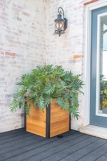 Vita Mezza 22 inch Square Cedar Wood Cube Planter, Golden Brown, Black Aluminum Posts, FSC, Pre-Stained, Insect and Pest Rrepellant, VT17711