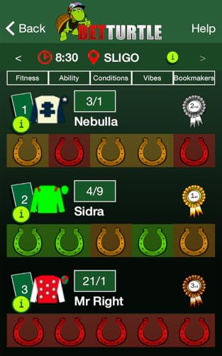 BetTurtle - Horse Racing Made Easy – vue 4
