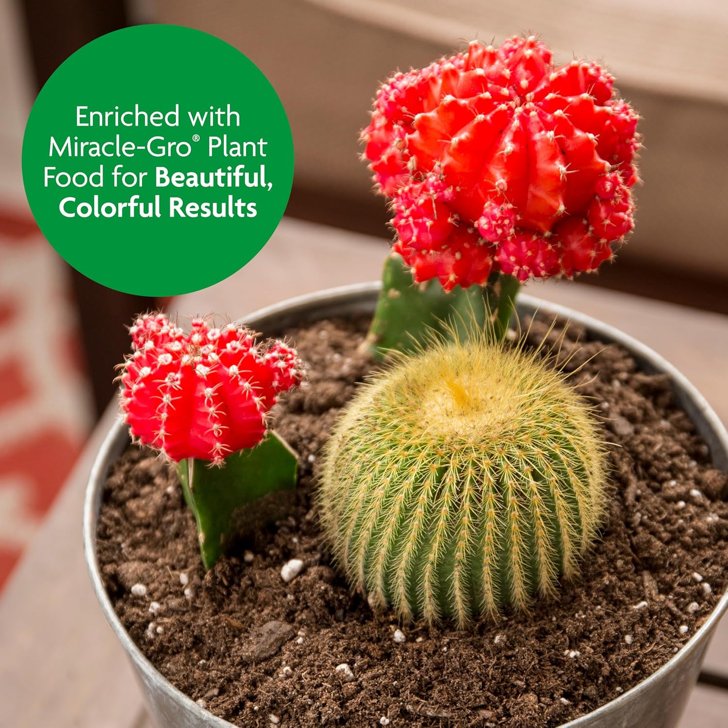 Miracle-Gro Cactus, Palm and Citrus Potting Mix, For Indoor or Outdoor Container Plants, Great for Succulents, 8 qt., 3-Pack