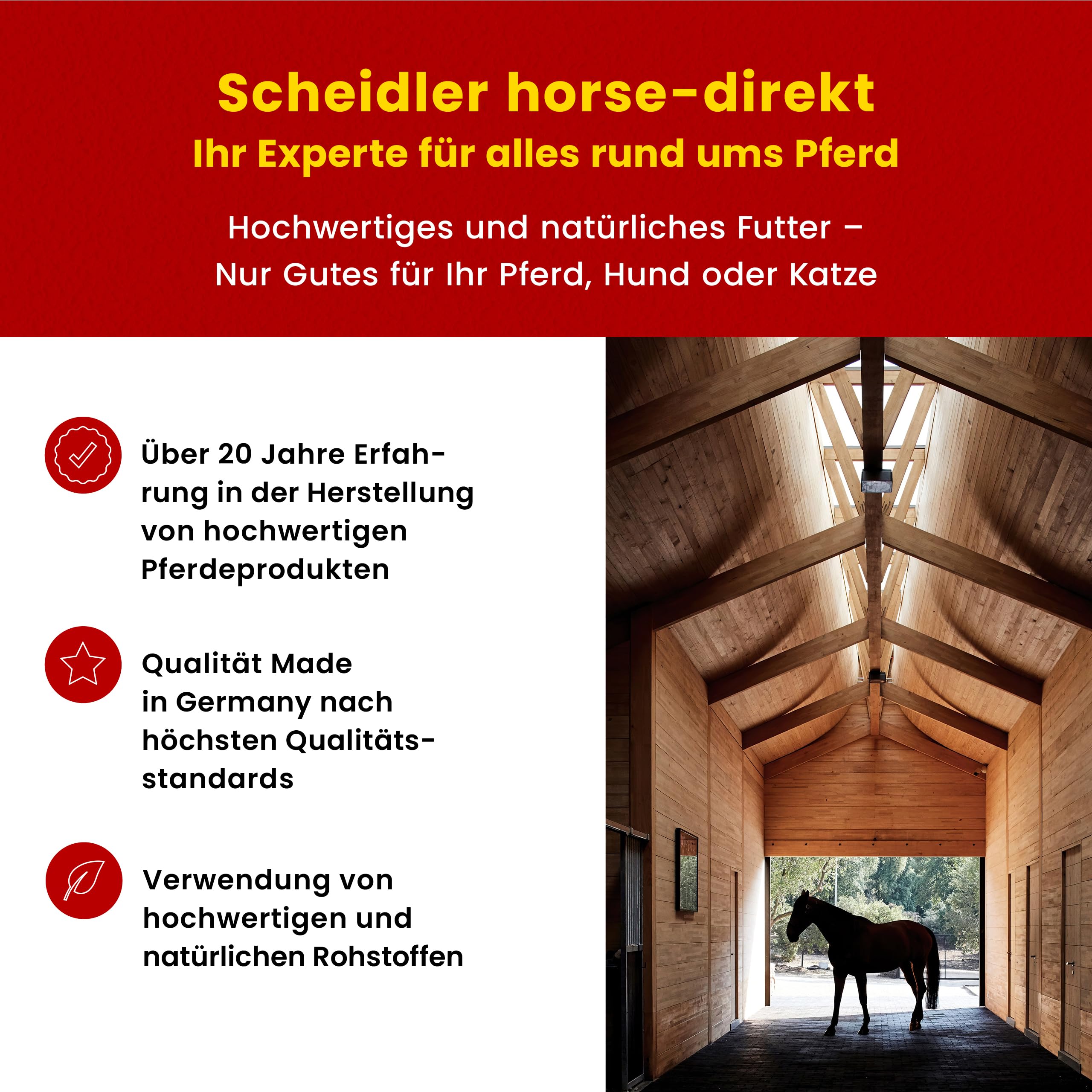 Scheidler horse-direkt Leinöl für Pferde, Hunde & Katzen 10 Liter – Mühlenfrisch kaltgepresstes Leinsamenöl ohne Zusätze – Reich an Omega 3 & 6 für Fellwechsel/Barf Öl – Aus Deutschland