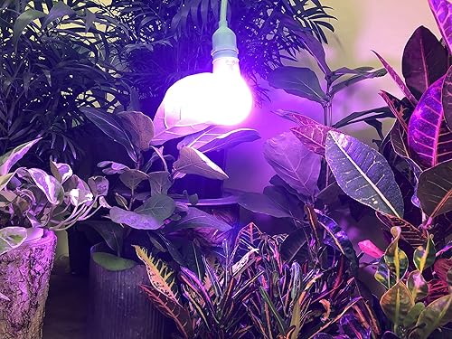 Miniatura 4 de Miracle LED Un-Edison Plant Life Cycle Kit de luz LED de crecimiento con 3 bombillas para tres etapas de crecimiento multiespectro