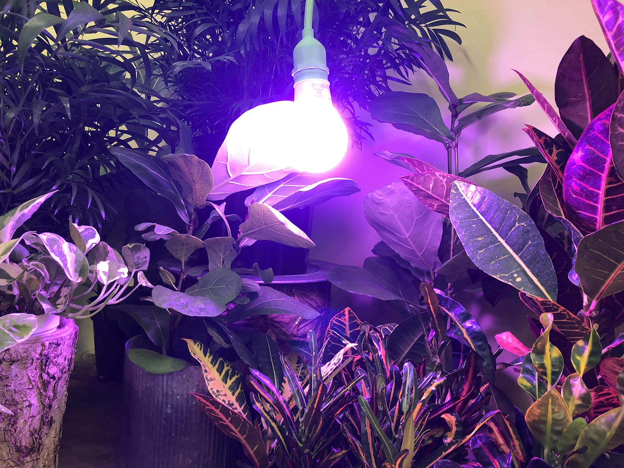 Utilitech Grow Bulb 40-Watt EQ Full Spectrum Medium Base (e-26) LED Grow Light Bulb Z-GR-CB40 At - Foto 9