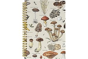 Vintage Mushroom Journal Notebook: Nature's Canvas for Musings