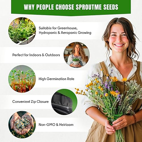 Miniatura 4 de Semillas de romero de otoño e invierno para plantación en interior y exterior  Más de 100 semillas criollas sin transgénicos, cultivadas en EE. UU.,