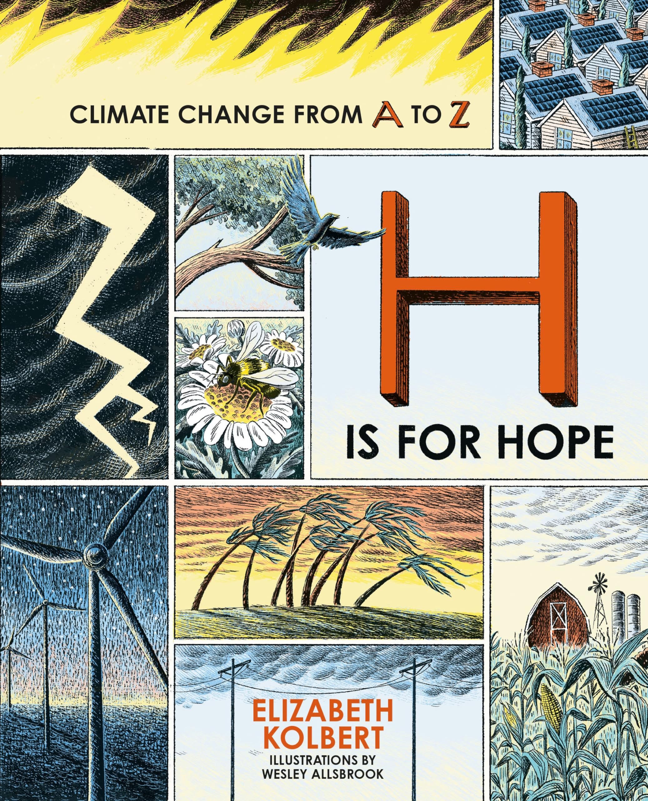 H is for Hope by Elizabeth Kolbert HARDBACK 9780861548668