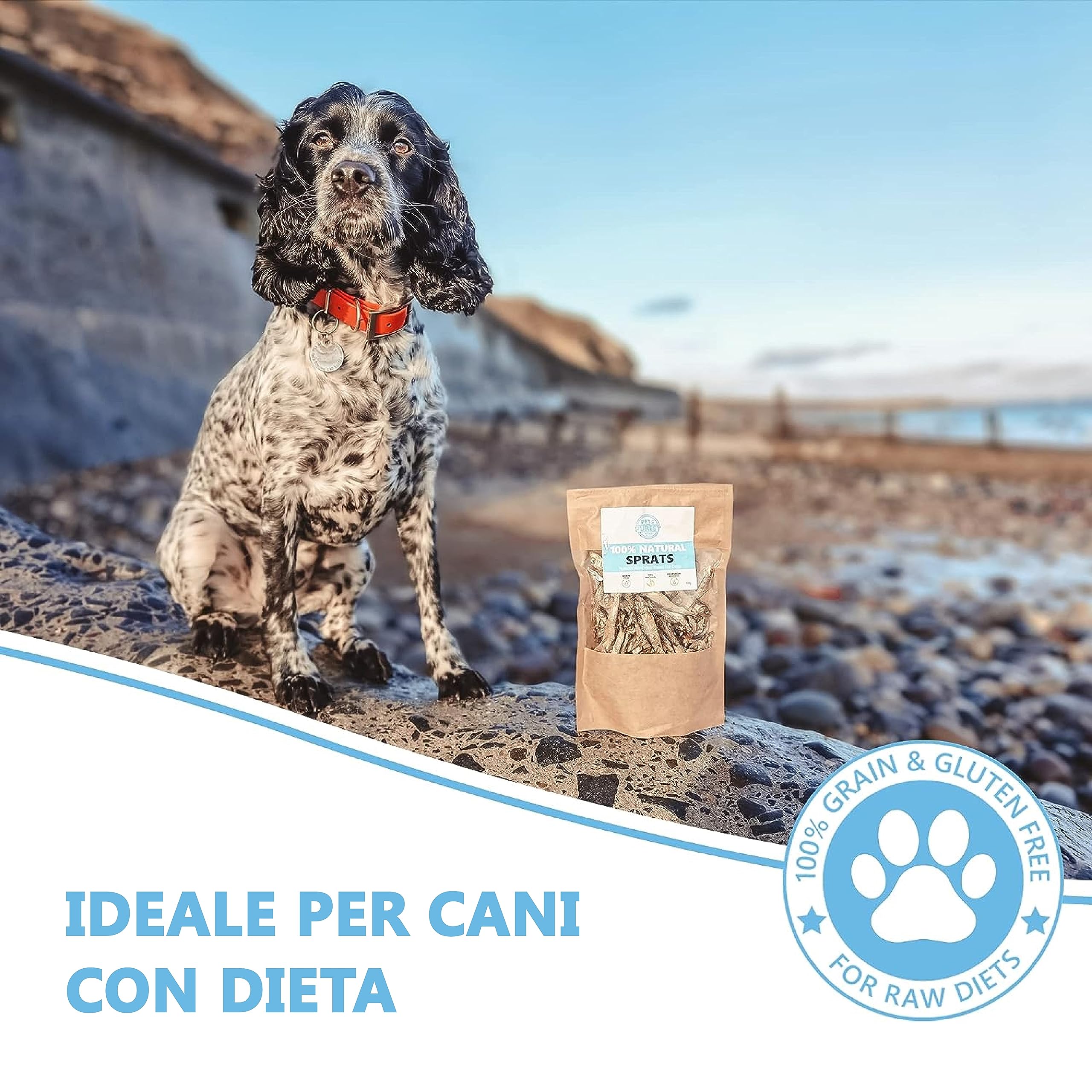 Pets Purest Snack di spratti per cani e gatti - Snack di pesce essiccato 100% naturale per cani e gatti, cuccioli e anziani - Cibo crudo ipoallergenico per animali senza glutine, cereali e lattosio