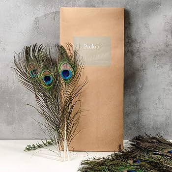 Amazon.co.jp: QSFDCLG 50個 天然孔雀の羽 バルク 8~10インチ