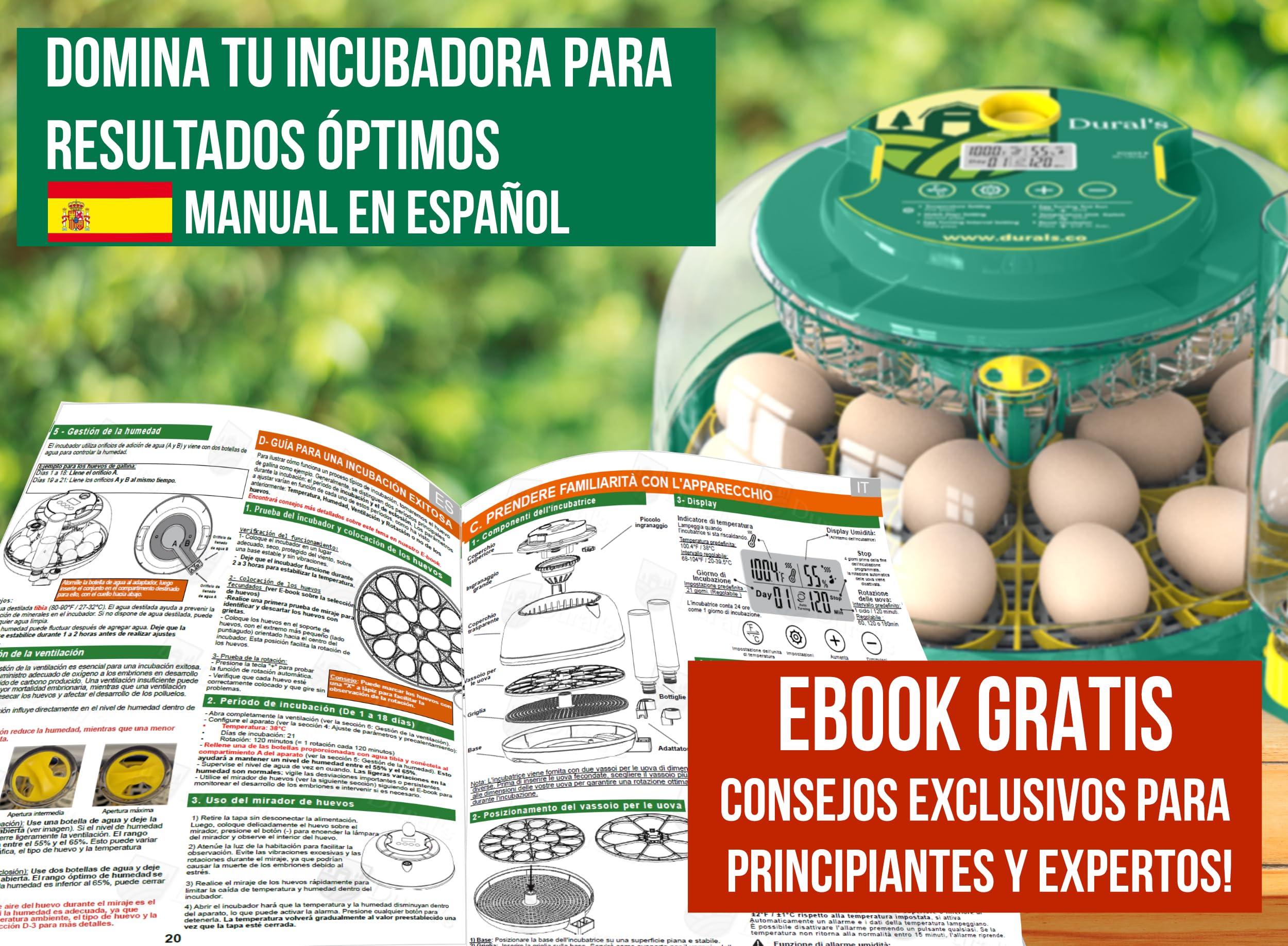 Dural's DX5® | Incubadora Huevos Gallina Automática | Certificada CE | Temperatura precisa y control de humedad | Hasta 18 huevos de gallina, codorniz, pato | Volteo automático | Fácil de limpiar |