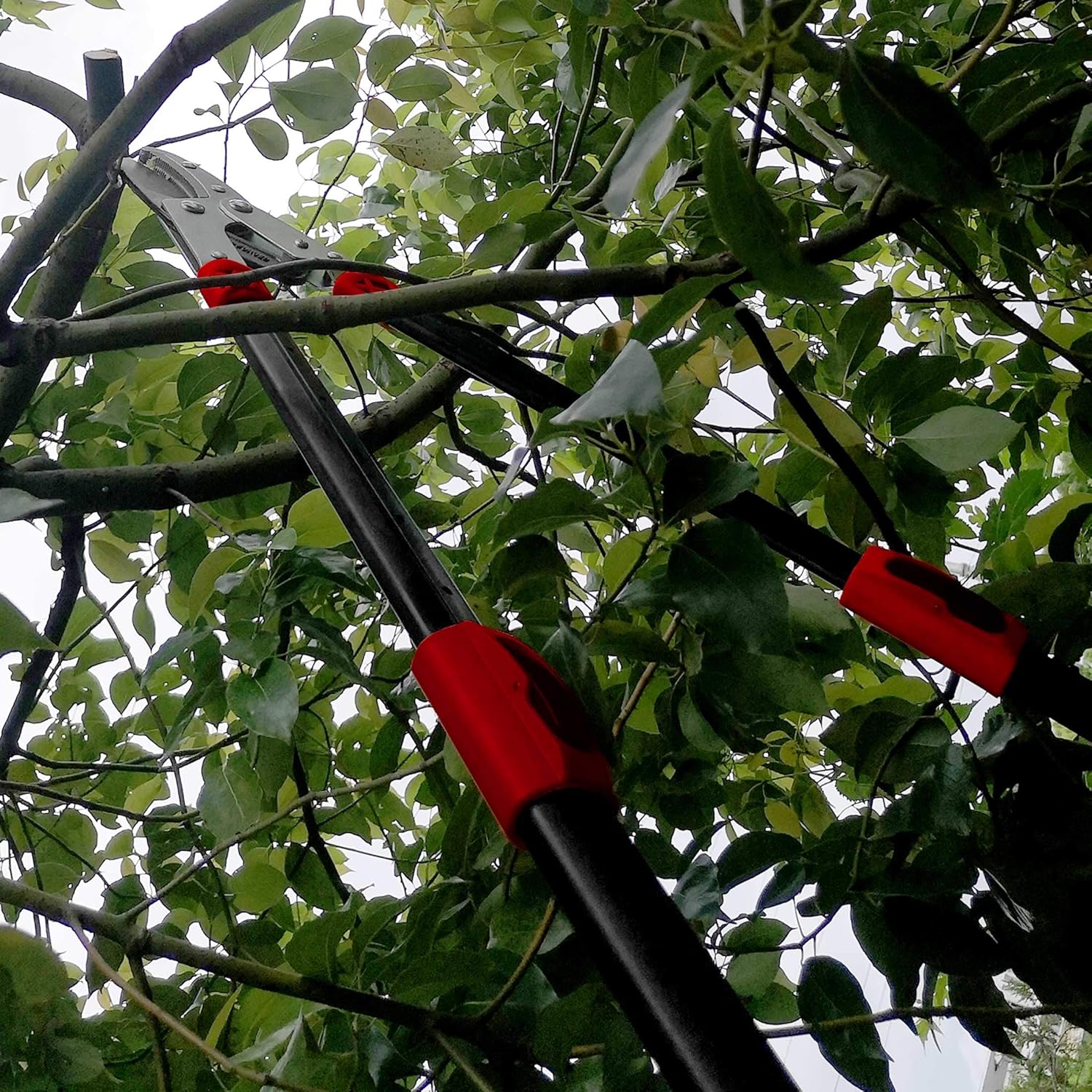 Exсluѕіvе Dіѕсоunt 60% Prісе HAUTMEC Extendable 27-37'' Telescopic Anvil Lopper with Compound Action, Labor-Saving, Gardening Heavy Duty Branch Cutter 2 Inch Branch Cut Capacity HT0149 Frее Shірріng 🛒 HAUTMEC Extendable 27-37'' Telescopic Anvil Lopper with Compound Action, Labor-Saving, Gardening Heavy Duty Branch Cutter 2 Inch Branch Cut Capacity HT0149