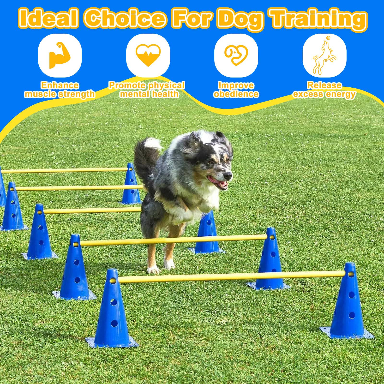 Hunde Agility Set mit mit 8 Kegel + 4 80cm Slalomstangen, Einstellbare Agility Koordinationstraining Erziehungshilfen, Steckhürden Kegel Trainingshürden für Fußball Hundesport, Pferdesport