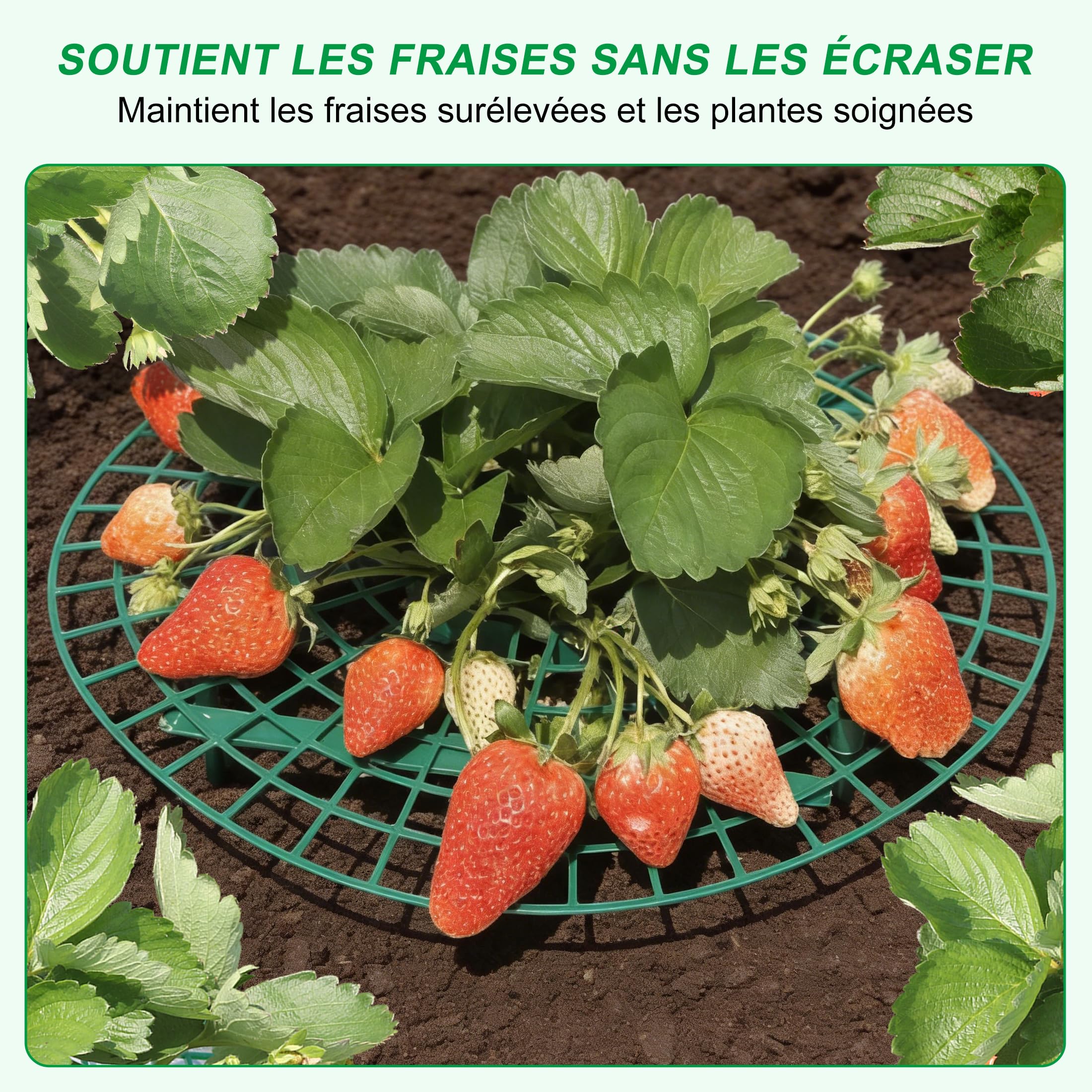 Support pour Plants de Fraises CNNIK, 10 Supports Ronds en Paquet pour Garder Les Baies Hors du Sol, Supports de Jardin réutilisables pour la Culture de Fraises en Plein air