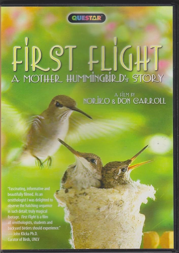 Amazon.com: First Flight : Noriko Carroll, Don Carroll