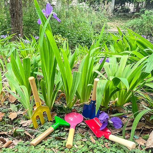 Miniatura 7 de Juego de herramientas de jardinería para niños, 5 herramientas de jardinería para niños de metal con mango de madera resistente, herramientas de