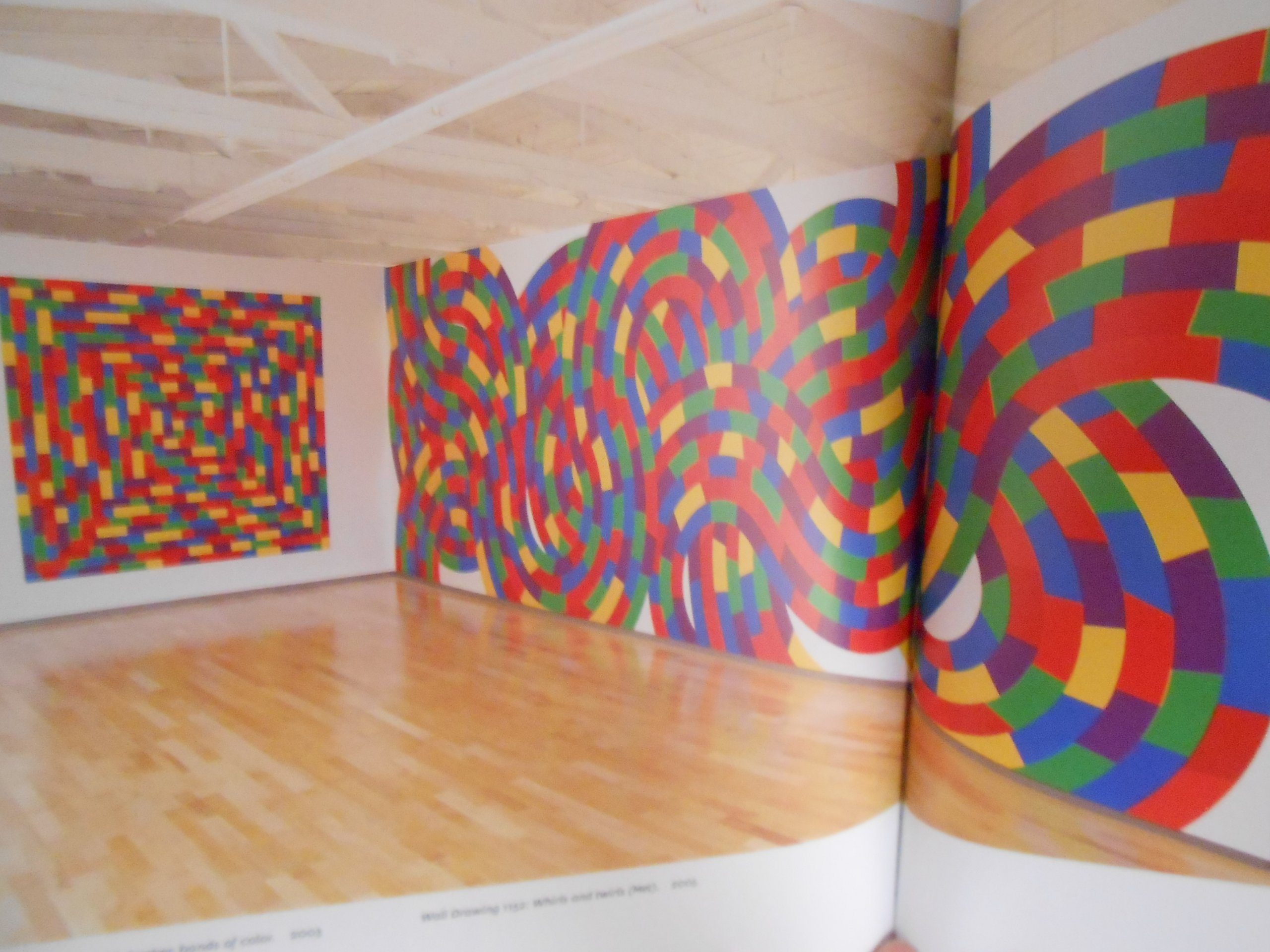 Amazon.co.jp: Sol LeWitt: 本、バイオグラフィー、最新アップデート