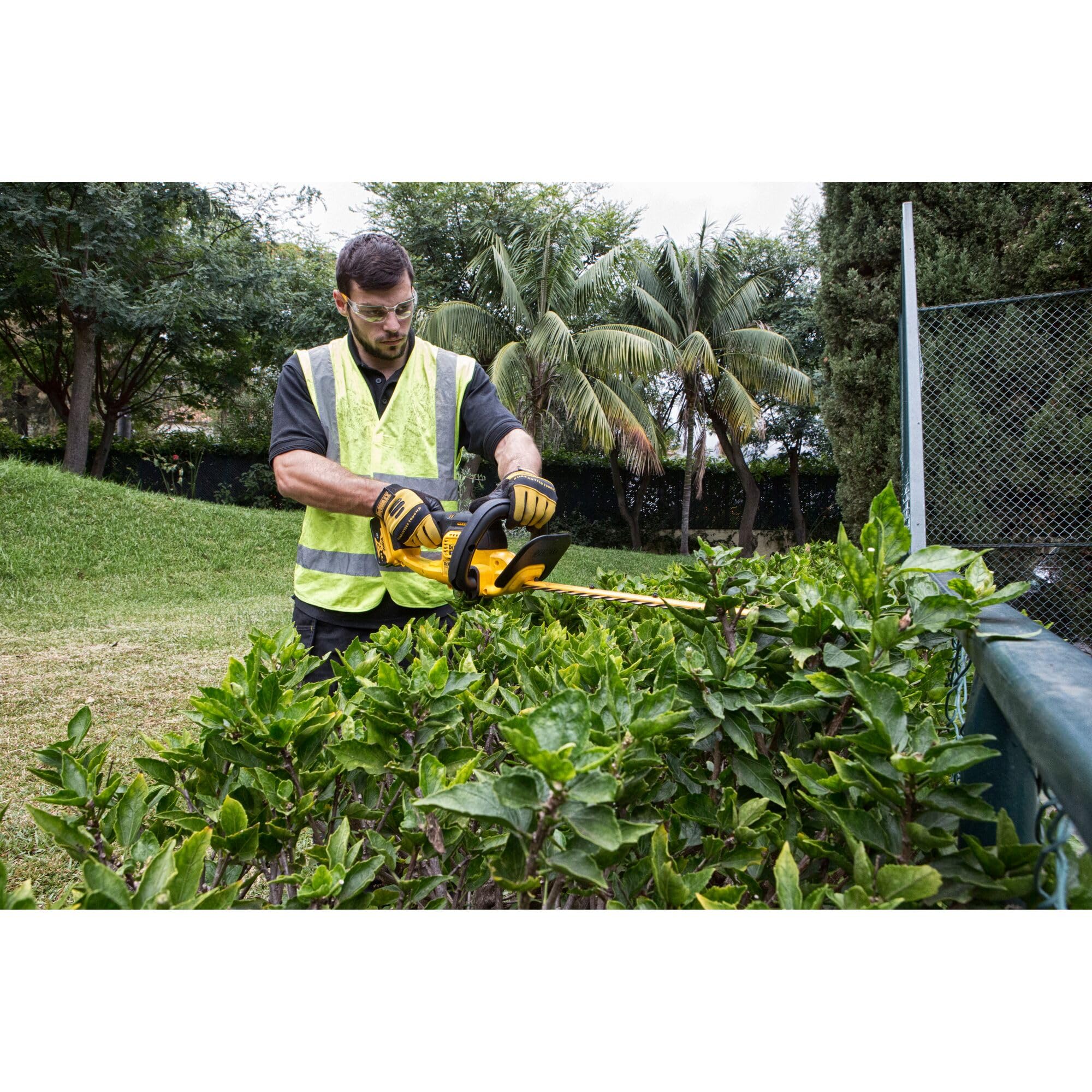 DEWALT DCM563PB-XJ - Cortasetos sin escobillas XR 18V, 55 cm, 19 mm sin cargador/batería