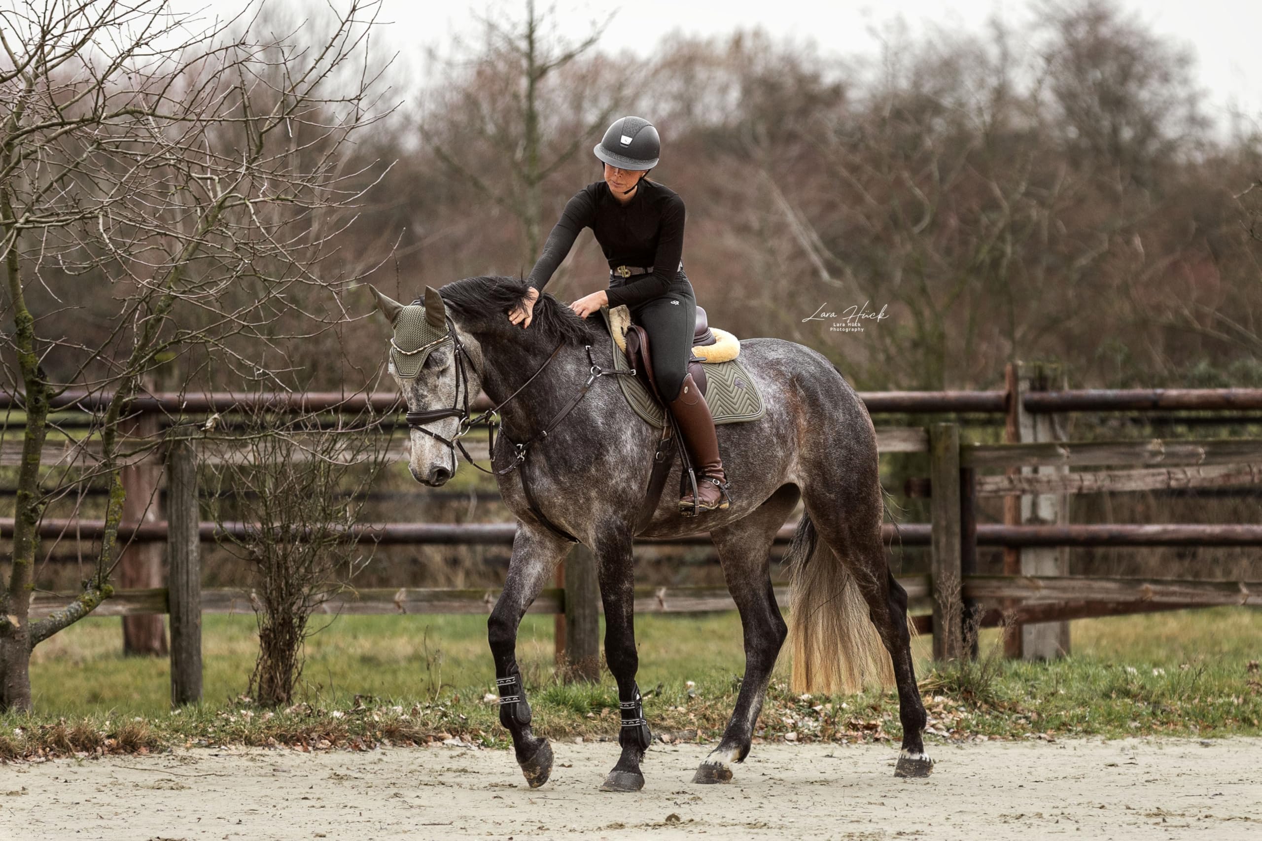 Spring Schabracke Set Sage 2-teilig – Springschabracke & Fliegenhaube – Atmungsaktiv, rutschfest & Strapazierfähig – Elegantes Reitsport Turnier Set Warmblut/Full – Classic Sage