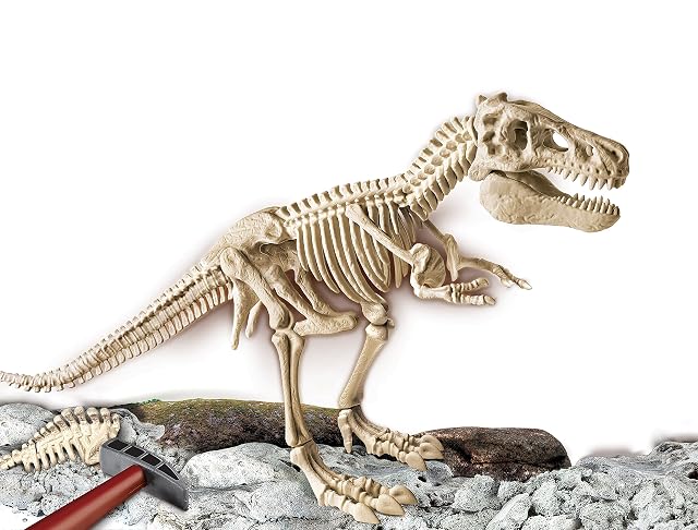 Foto 2 de 3 de Clementoni - Arqueojugando El esqueleto del Gran T-Rex