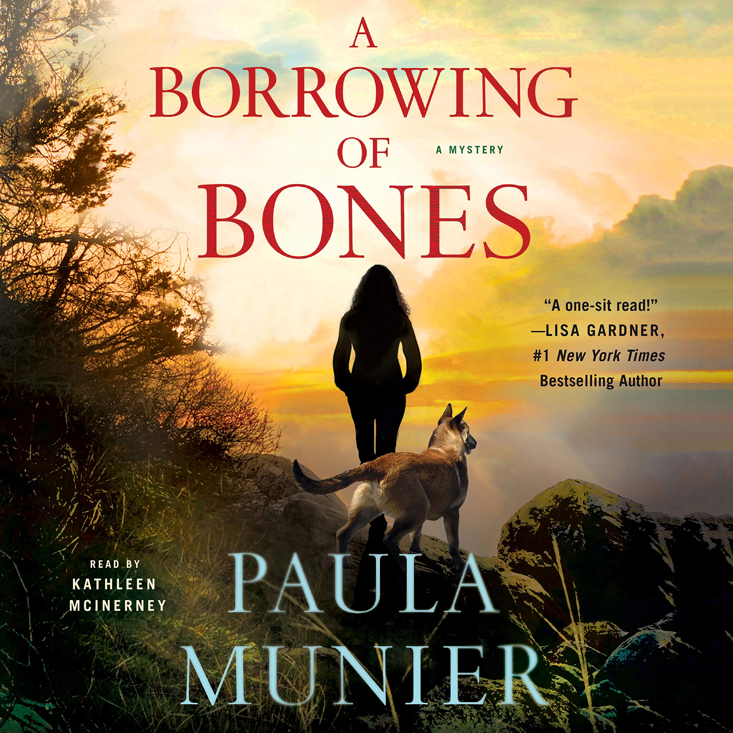 Cover art for A Borrowing of Bones