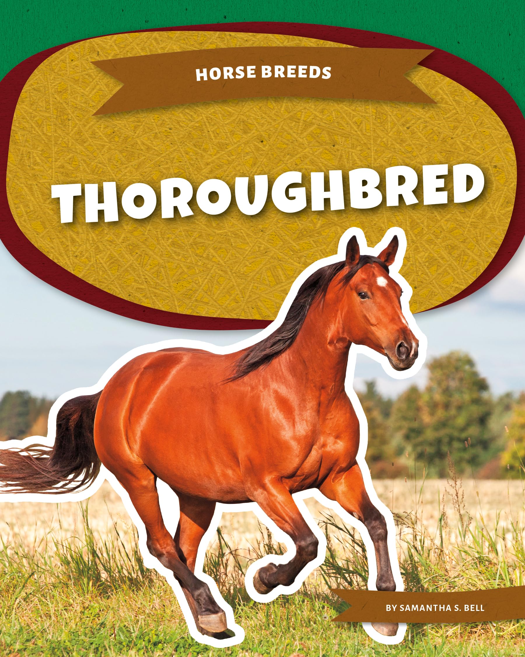 Thoroughbred (Horse Breeds)