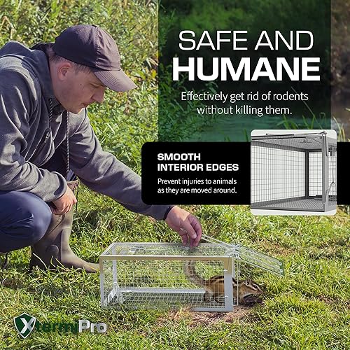 Miniatura 6 de Trampa humana para esquirell, paquete de 2, jaulas de ardilla y ratas que funcionan para el hogar  Atrapa y suelta  Reutilizable y duradera  Trampa