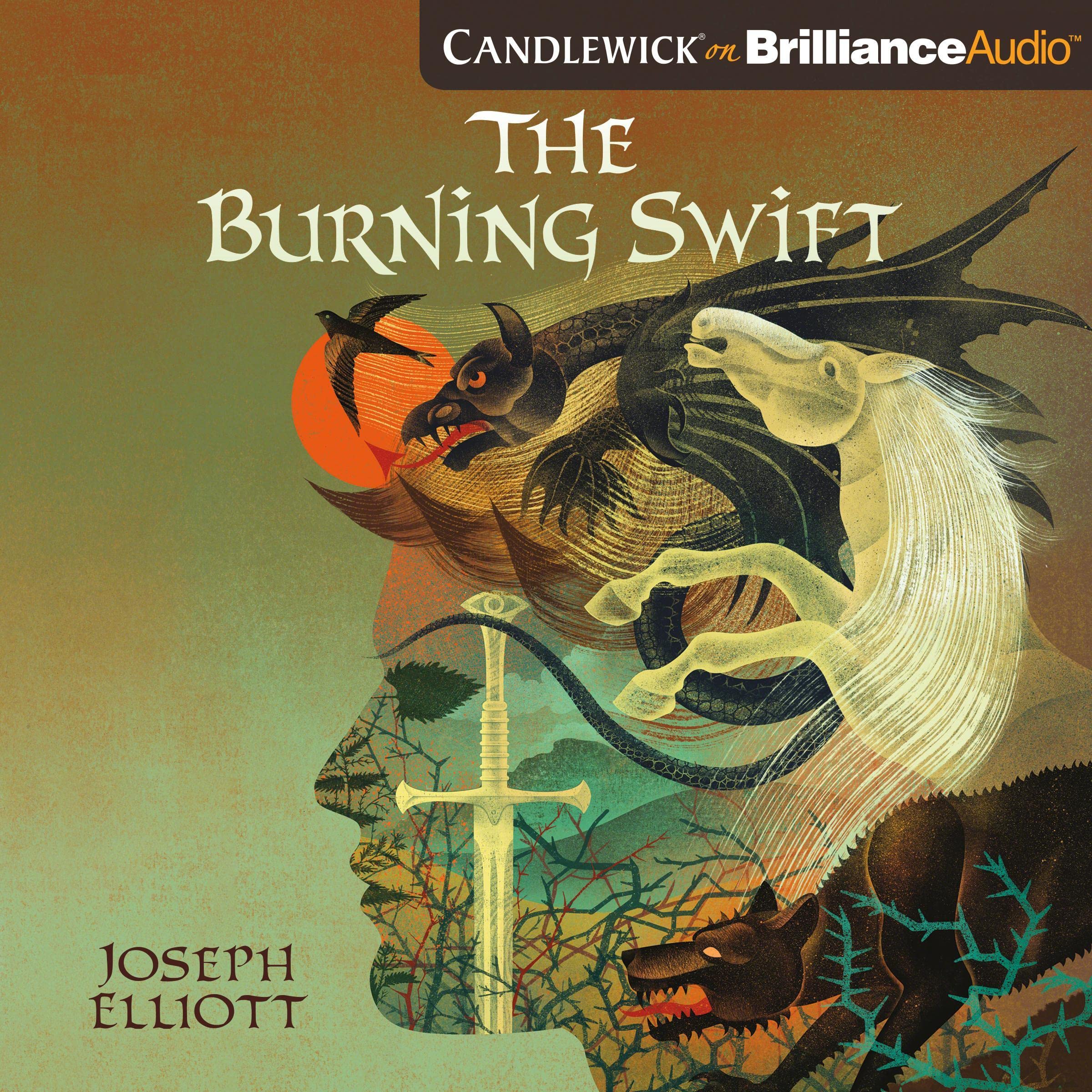 Cover art for The Burning Swift