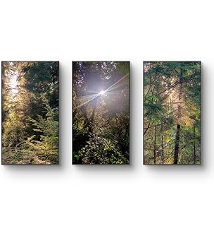 The Virtue of God Forest Trees in Sunset Canvas Print Set of 3 | Authentic Nature Photography Wall Art | Unframed Vertical Canvas Prints for Home Office Decor | Biophilic Art Collection (10x20 in)