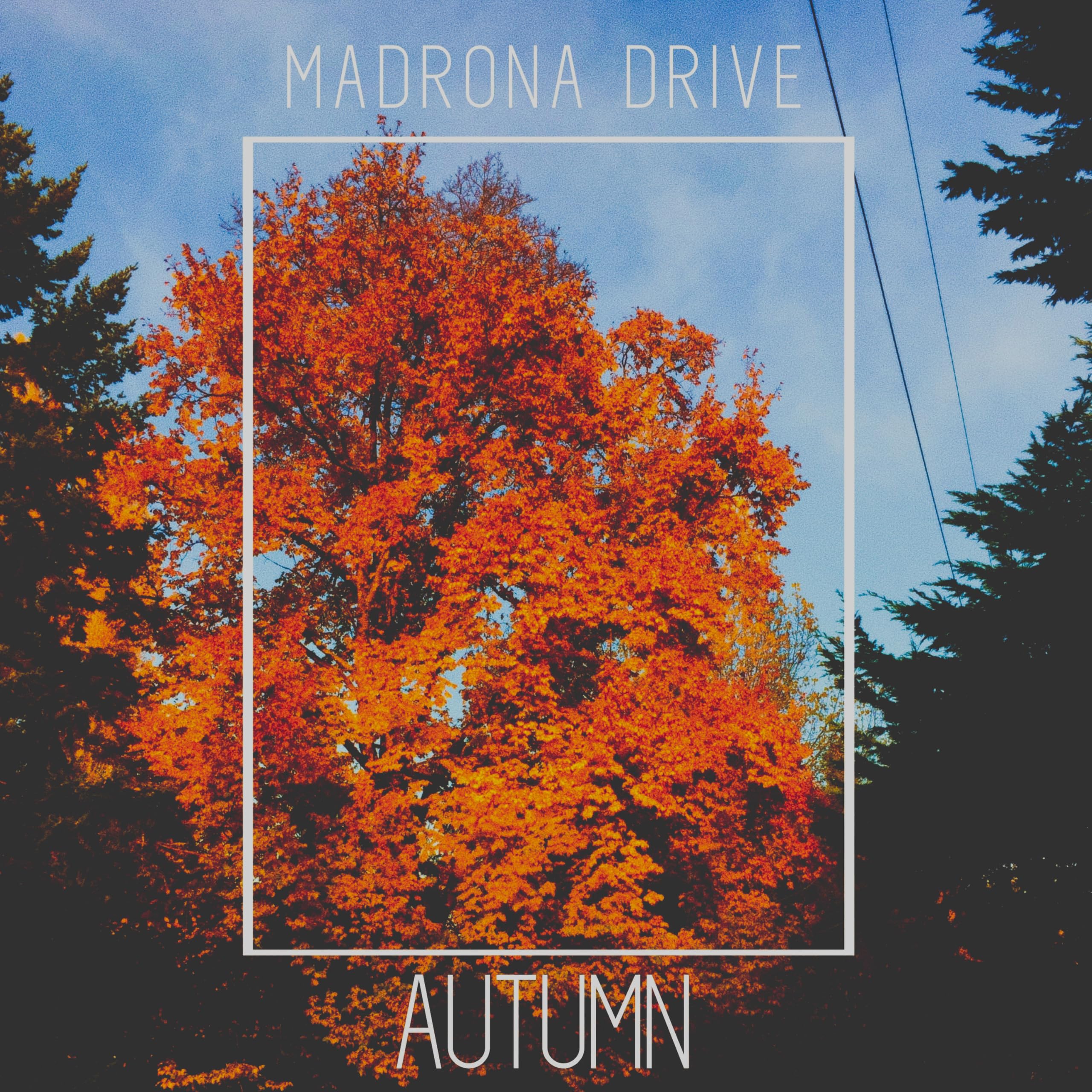 Madrona Drive