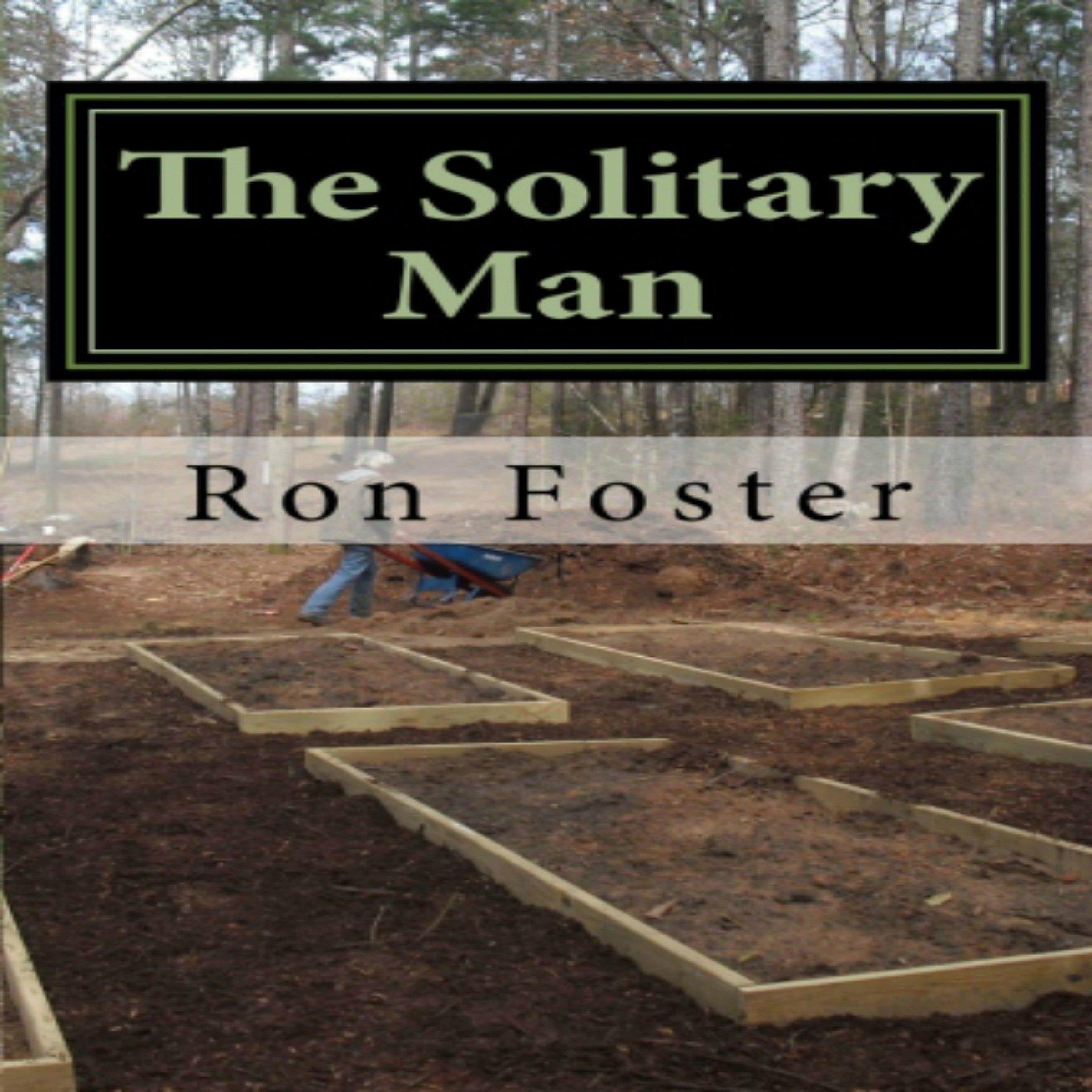Cover art for The Solitary Man, Volume 1