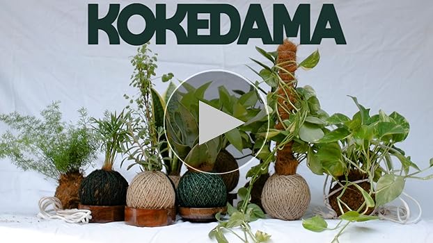 Ikki xotin va er porno