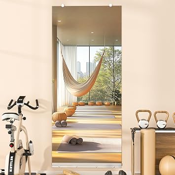 Hasipu Full Length Wall Mirror, 63"x28" Each, 1-Pack Frameless Wall Mounted Mirrors with Glass Clamps & Aluminum Rail, Large Body Mirror for Home Gym, Yoga Studio, Bedroom, Silver Tempered Glass