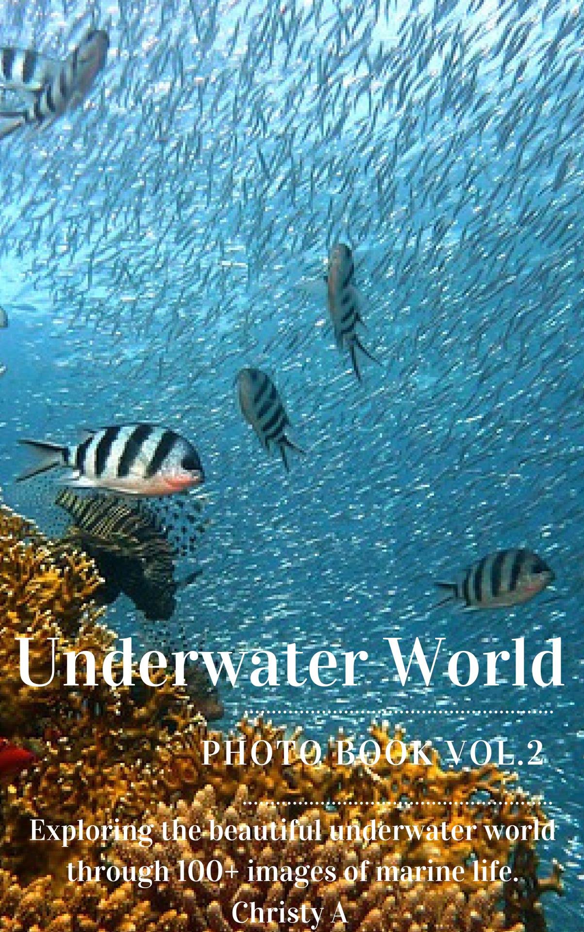 Buy Underwater World Photo Book Vol.2 Exploring the beautiful