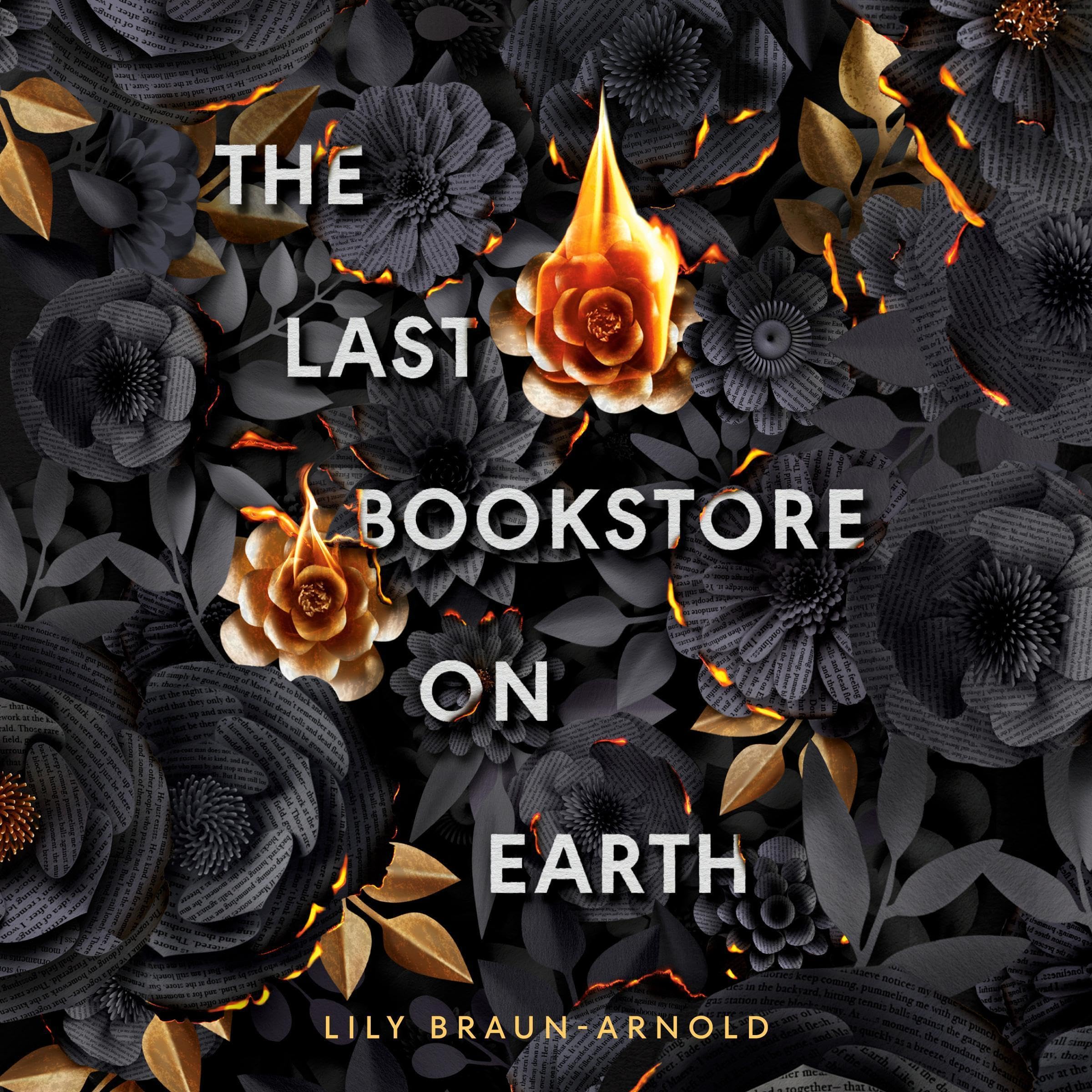 Cover art for The Last Bookstore on Earth
