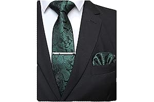 JEMYGINS Men's Solid Paisley Necktie and Pocket Square with Tie Clip