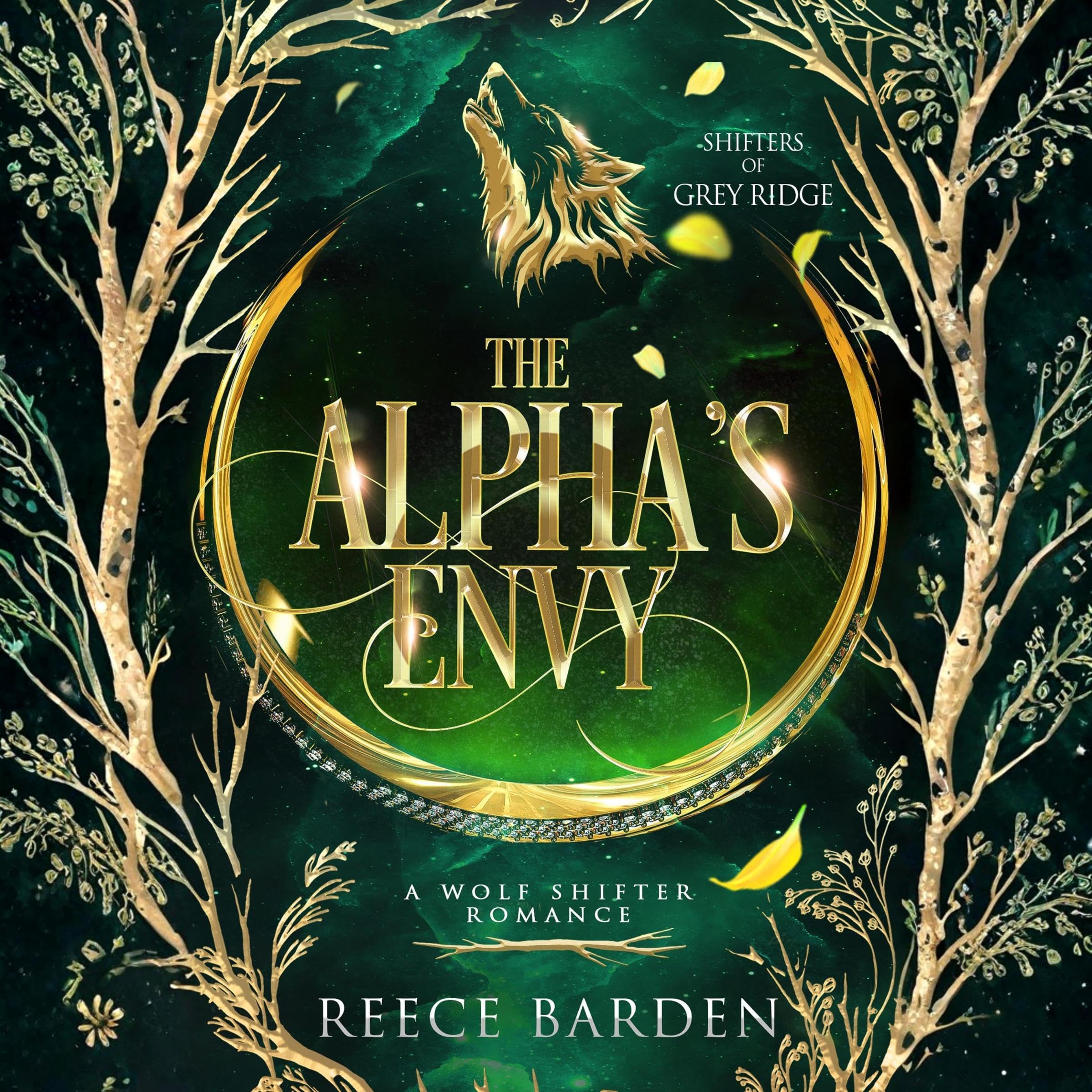 Cover art for The Alpha's Envy