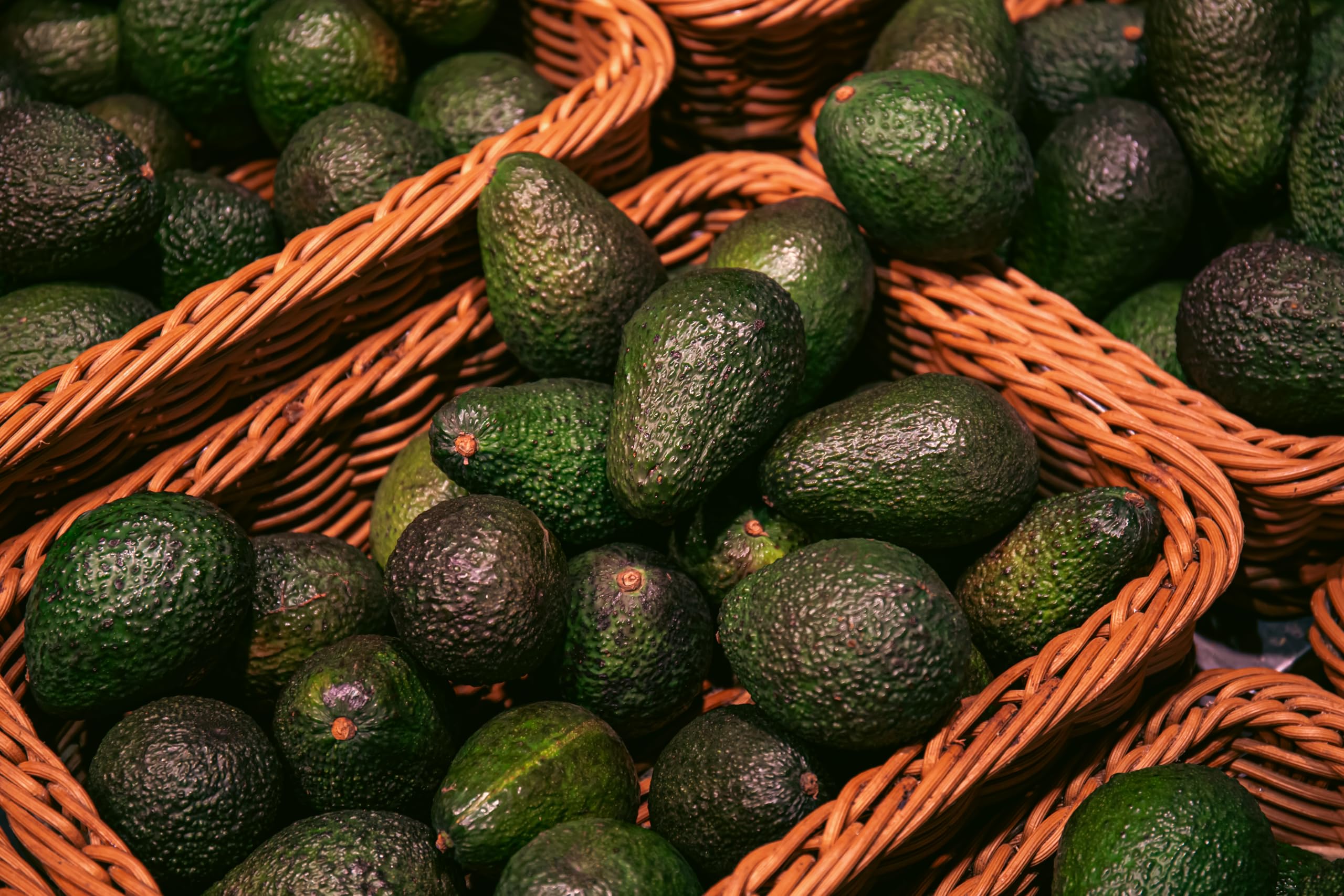 CHOSA Bio Avocadoöl Kaltgepresst Nativ 1 liter - Avocado Öl 100% Reines ohne Zusatzstoffe - Avocado Oil Für Gesicht, Haare, Körper, Haut, Nägel, Kosmetik - 1l, 1000 ml