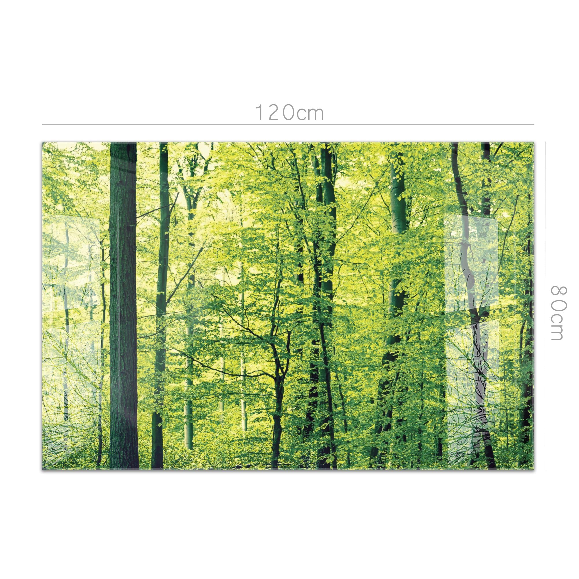 timalo Küchenrückwand Glasoptik | 120 x 80 cm Wald grüne Bäume, Natur Landschaft | Acryl Glas 2mm | Spritzschutz Wand für Herd, Küche Glasrückwand Acrylglas Wandpaneele Rückwandschutz Platte