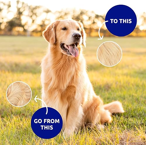 Miniatura 9 de Pat your Pet Deshedding - Cepillo para perros y gatos, rastrillo de aseo de doble cara para perros y gatos, peine desengrasante y herramienta de